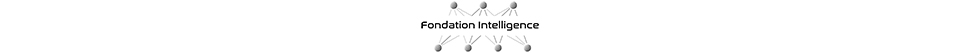 Fondation Intelligence